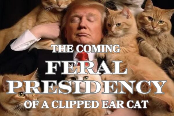 The Coming Feral Presidency of a Clipped Ear Cat